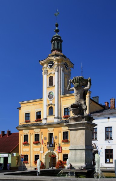 Figura Jonasza i Ratusz w Skoczowie 1