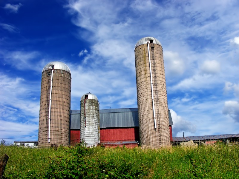 Flickr - Nicholas T - Silage