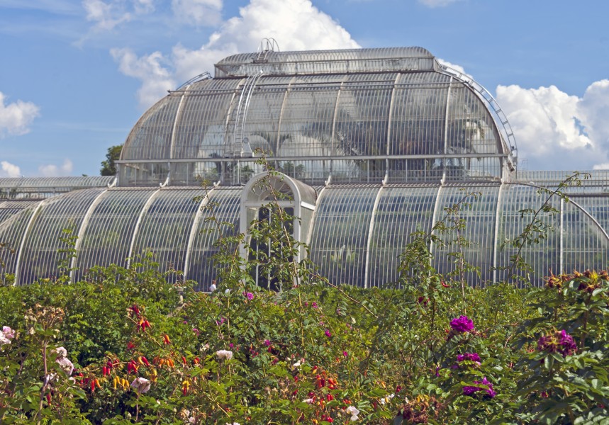 Flowers and shrubbery before rear of Palm House, Kew Gardens