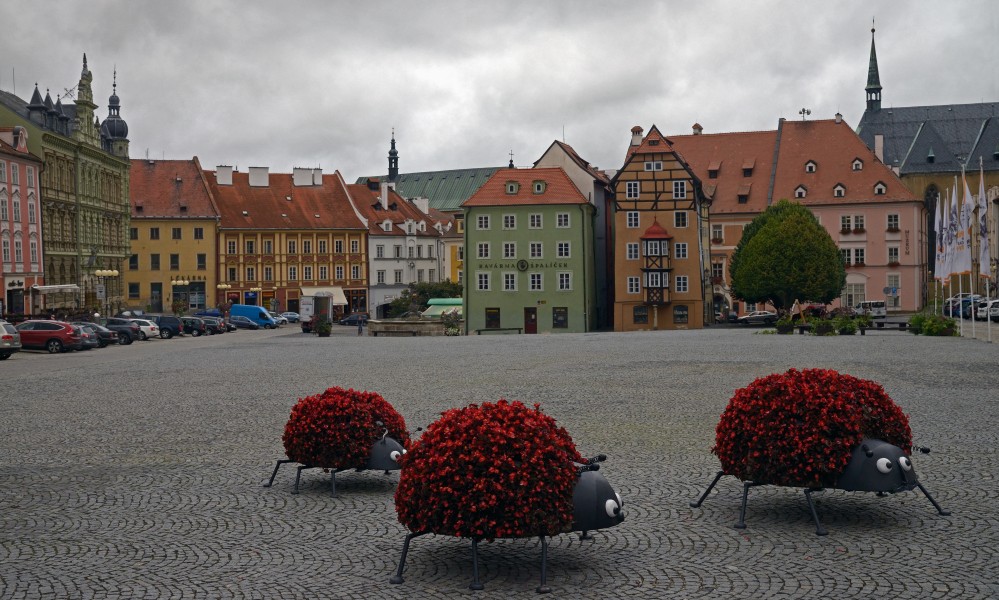 Flowers on the main square of Cheb, Czech Republic
