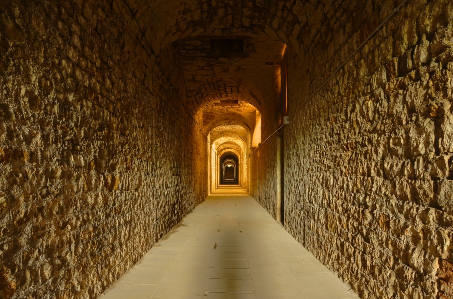 Fort (9)