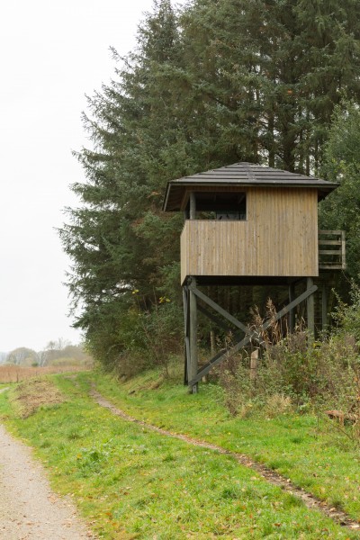 Fugletårn på sydsiden af Årslev Engsø