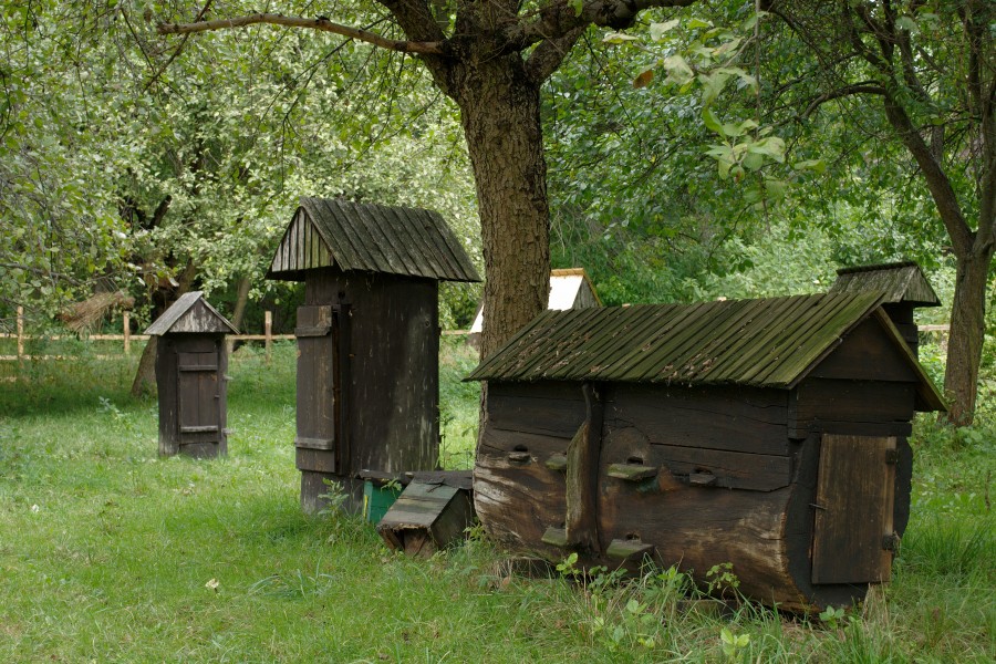 Górnośląski Park Etnograficzny DSC 8187