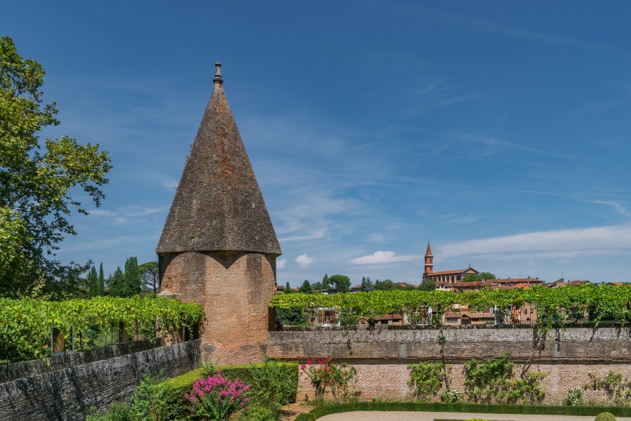 Garden of the Palais de la Berbie 15