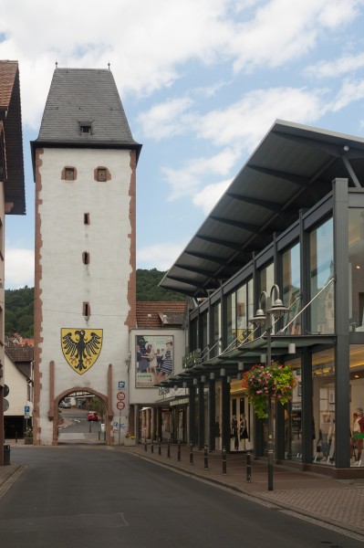 Gelnhausen, das Schiftor Dm0 foto7 2016-08-09 14.09