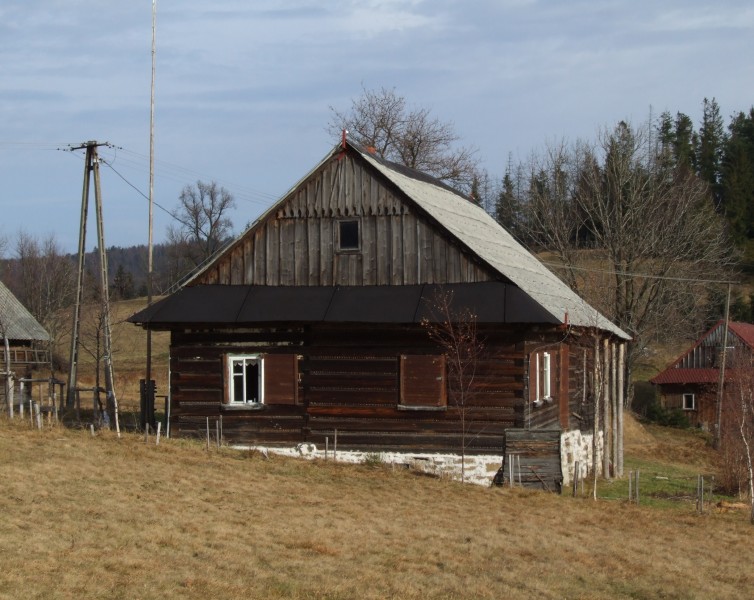 Gibasówka jesienią