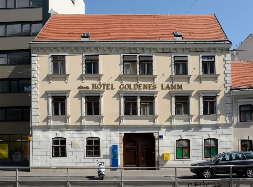 Goldenes Lamm-DSC 3597w