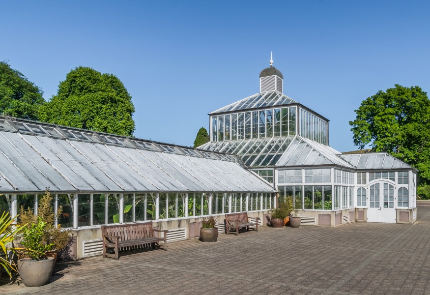 Greenhouse in Dunedin Botanic Garden 02