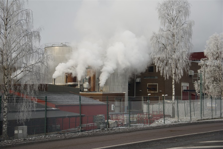 Hallsta Paper Mill January 2012e