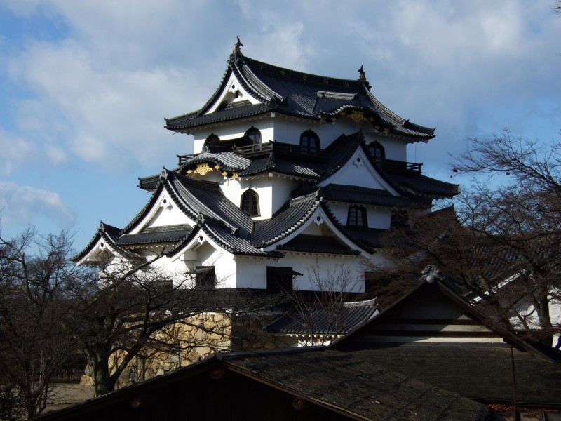Hikone castle5537