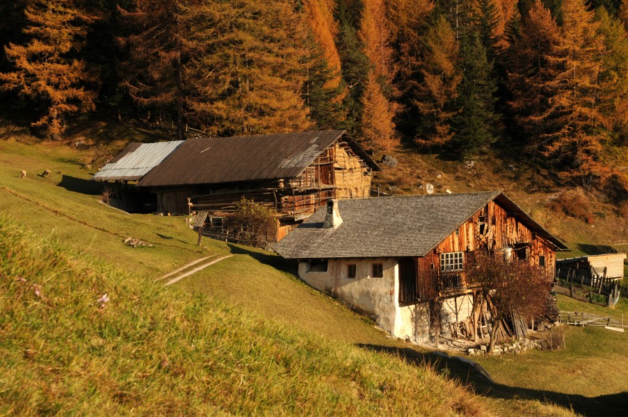 Hof Peza in Urtijei