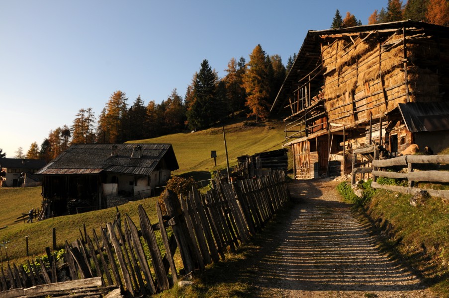 Hof Peza Urtijei