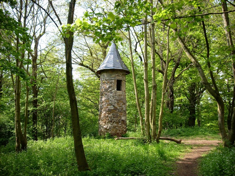 HohenrodeWartt