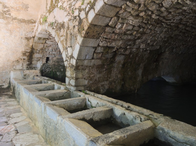 Μεγάλη Βρύση, Κράσι 0275