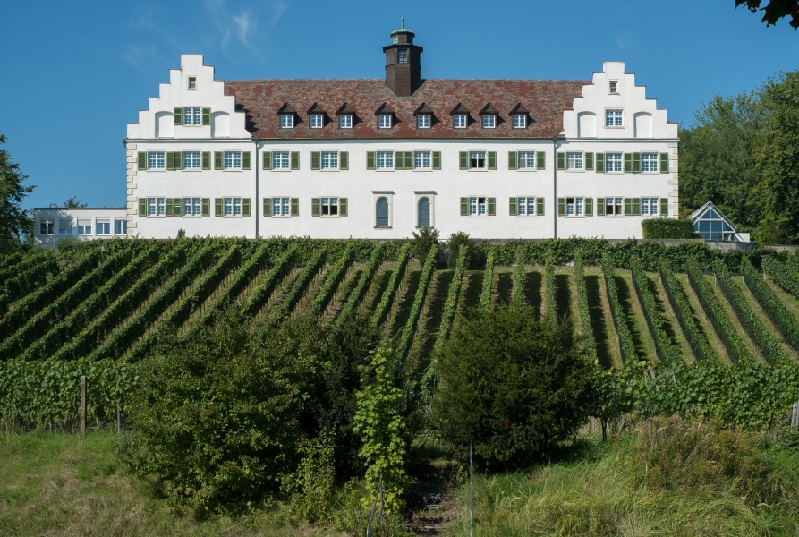 Immenstaad-5033