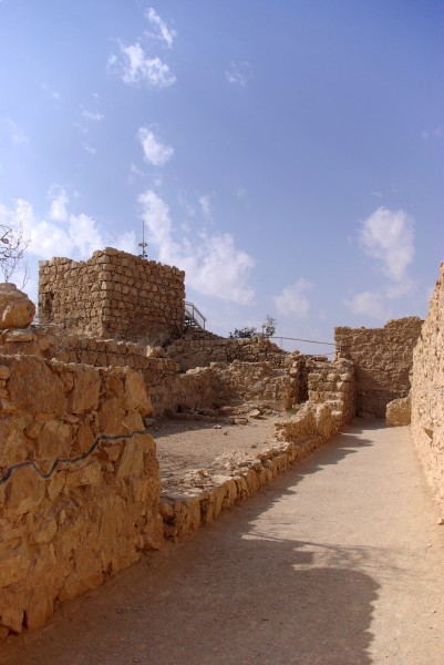 Israel Masada BW 6