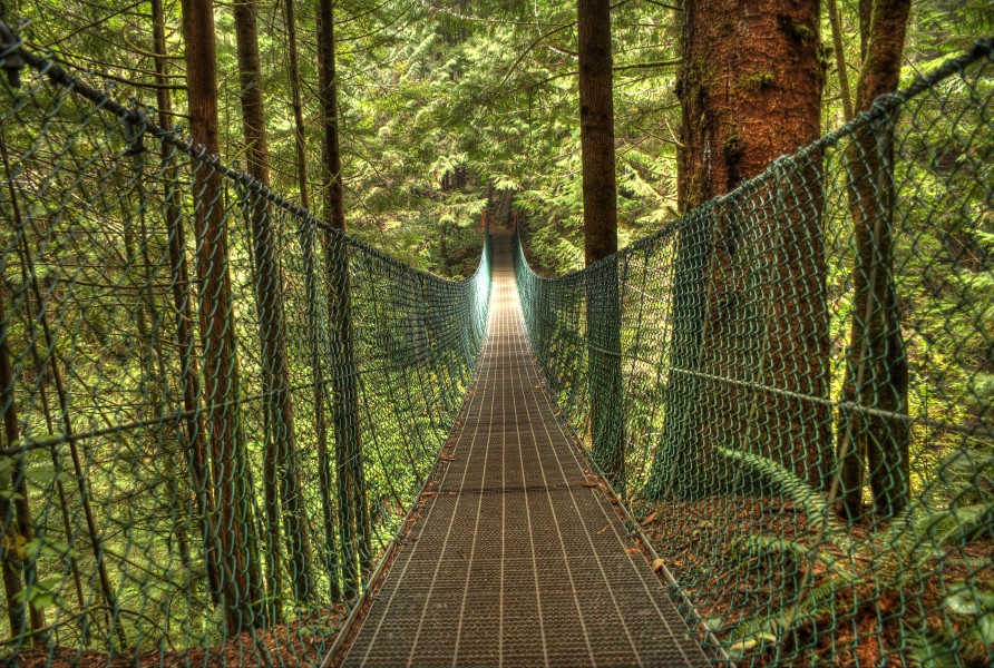Juan de Fuca Trail Suspension Bridge
