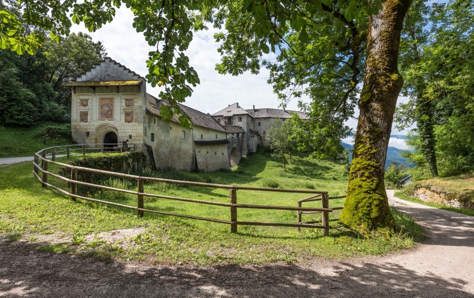 Köttmannsdorf Hollenburg Burganlage Nord-Ansicht 13072018 3898