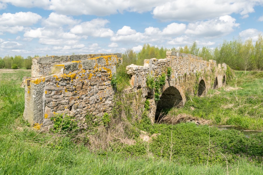 Kalletal - 2015-05-02 - LIP-013 Aberg-Herrengraben (56)