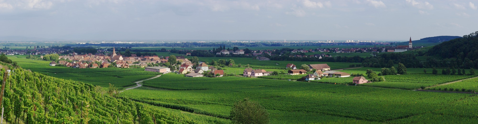 Kaysersberg Vignoble 2011