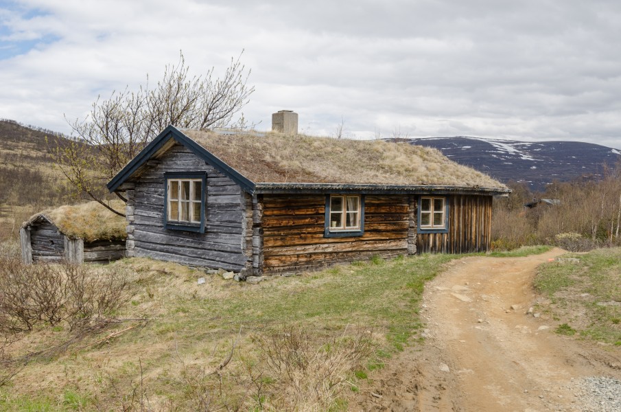 Kesusjön June 2015 03