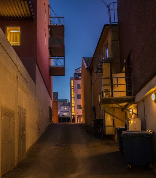 Kinosmuget (23584336103)