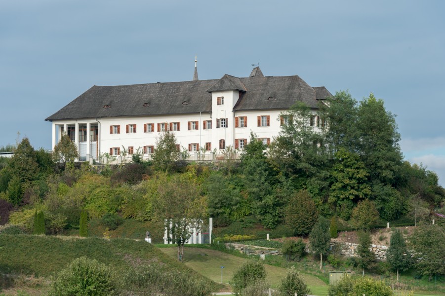 Klagenfurt Unterkroellstrasse 12 Schloss Seltenheim W-Ansicht 01102015 1570