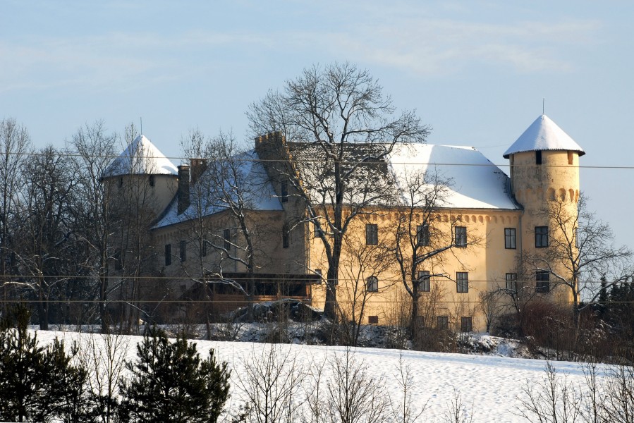 Klagenfurt Woelfnitz Tenschach Schloss Tentschach 27012010 923