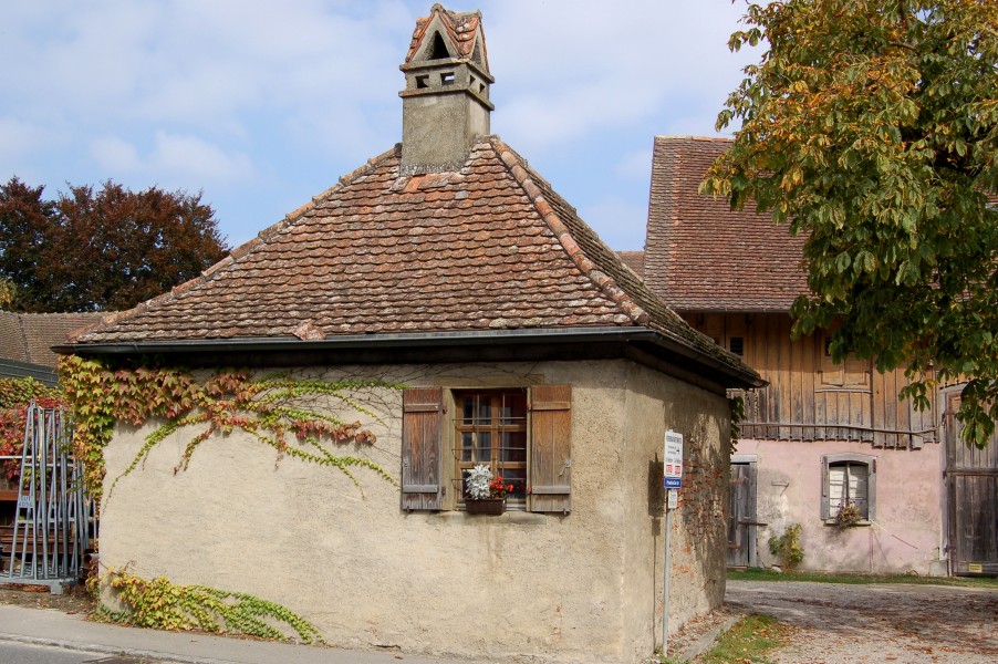 Kleiner Rundgang über die Insel Reichenau (08) (10594768144)