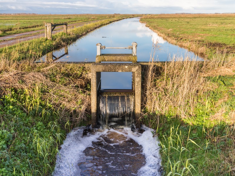 Kop Blokslootpolder (Bloksleatpolder) 04