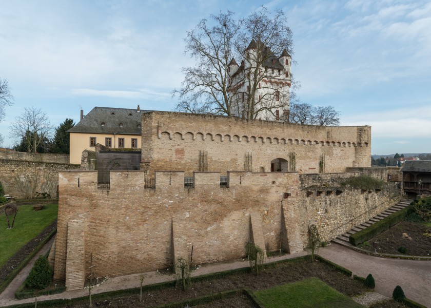 Kurfürstliche Burg, Eltville, West view 20150225 1