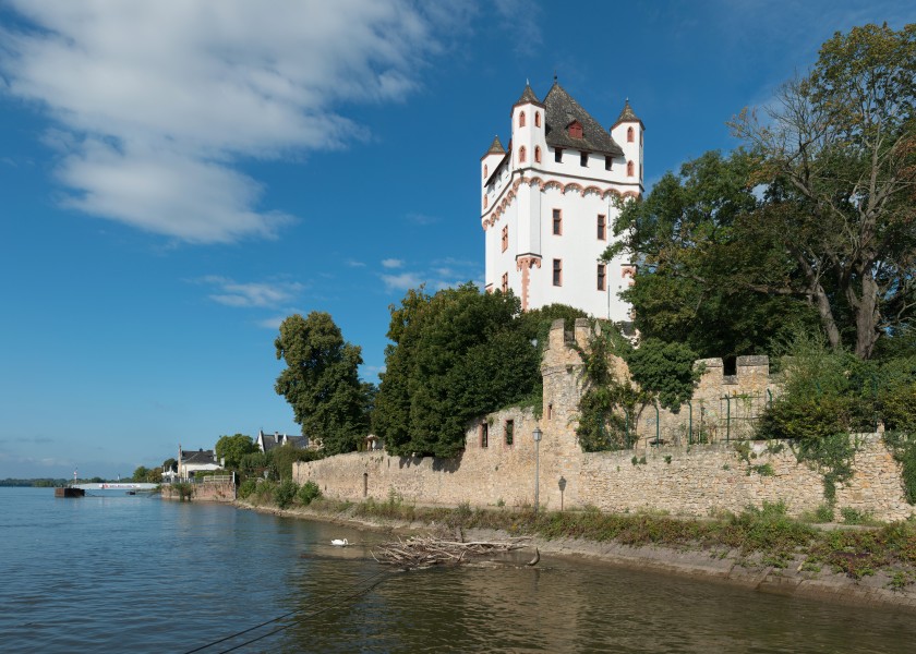 Kurfürstliche Burg Eltville, East view 20140901 1