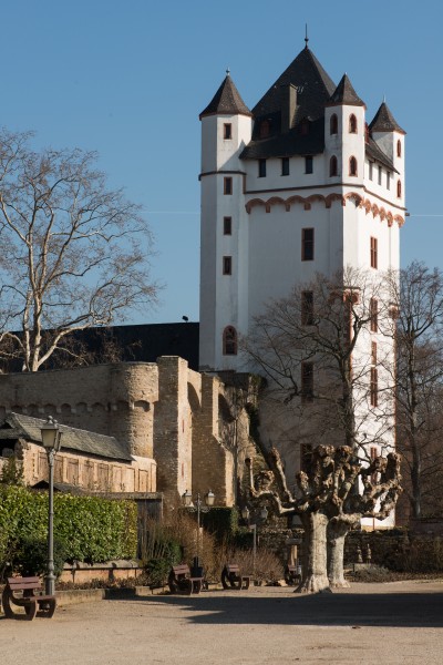 Kurfuerstliche Burg Eltville