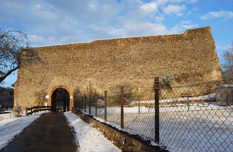 Löwenburg Gerolstein 2012 Schildmauer