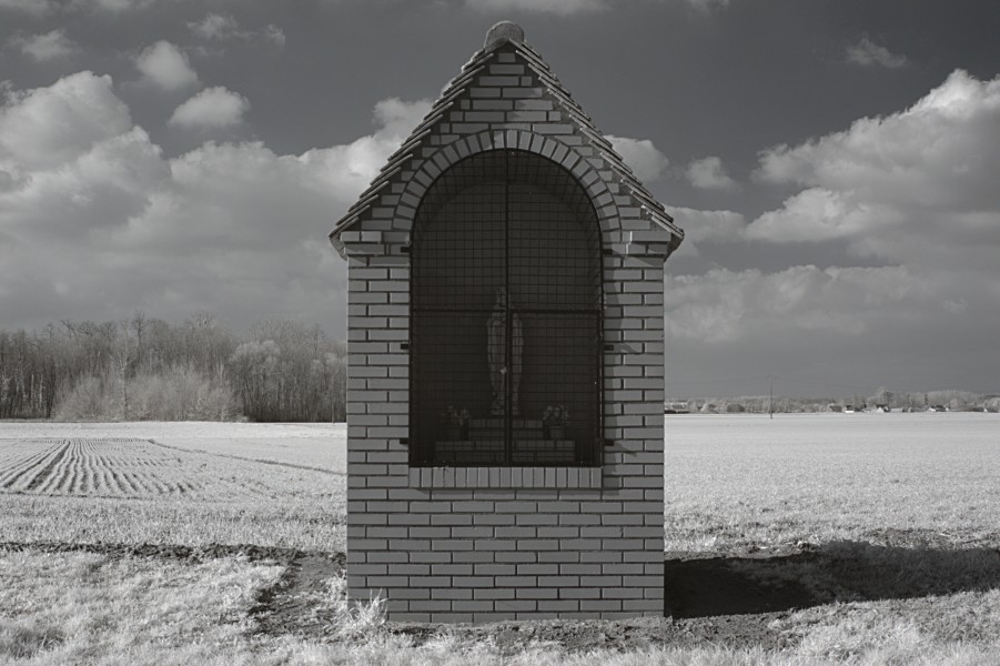 Labruyère 2013 02 20 02 IR 1