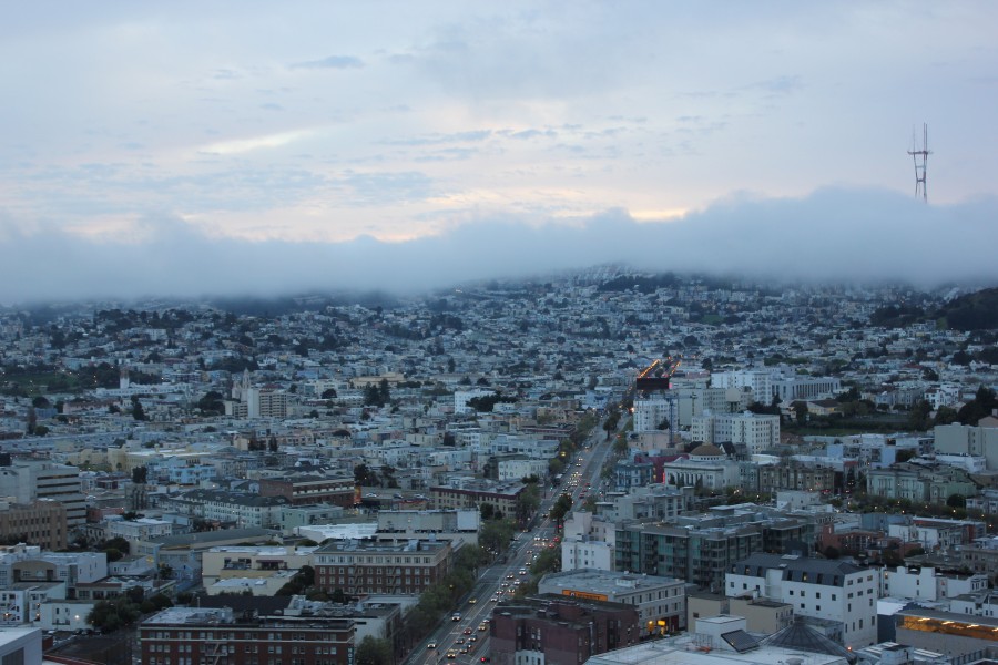 Laika ac Sutro Tower (7548092482)