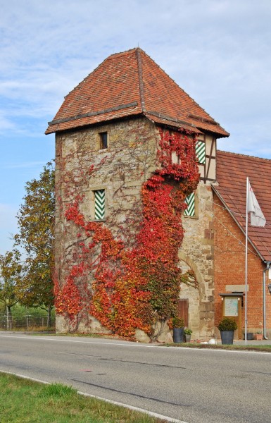 Landturm Lauffen 2011