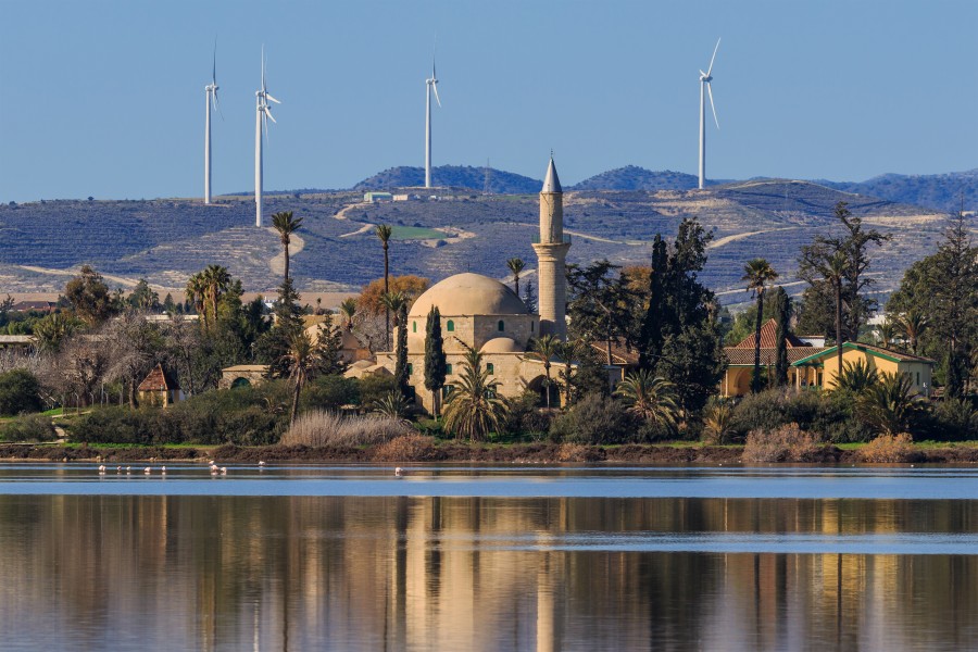 Larnaca 01-2017 img30 Salt Lake