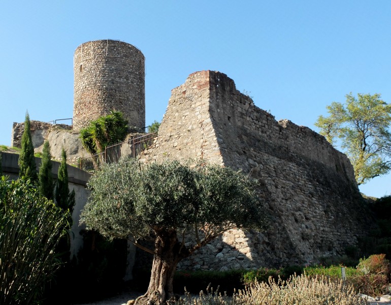 Laroque Chateau(1)