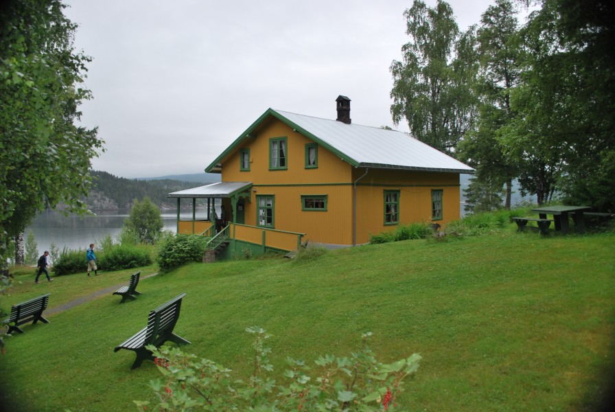 Lauvlia 1