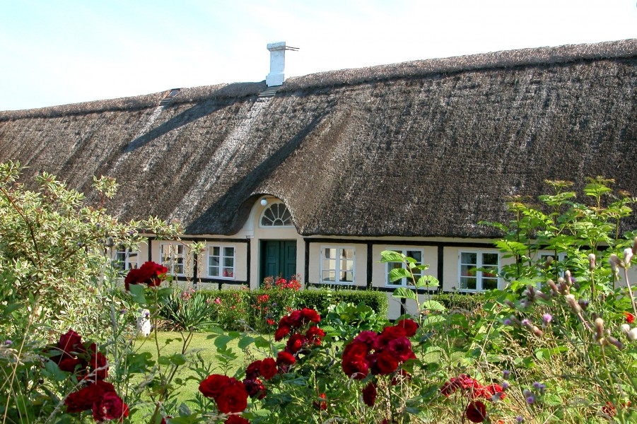 Leby.Ærø.1
