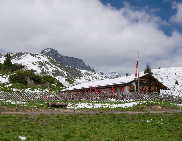 Lech - Kriegeralpe 02