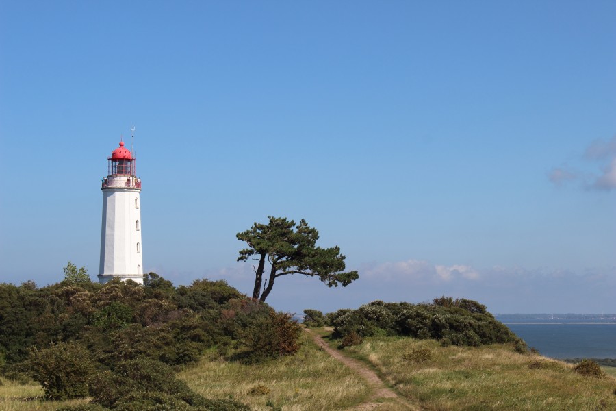 Leuchtturm Dornbusch