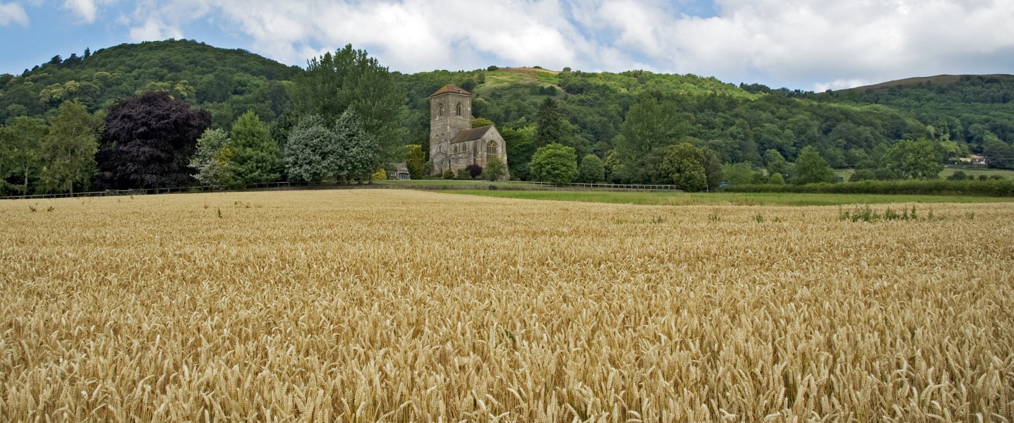 Little Malvern Hills panorama