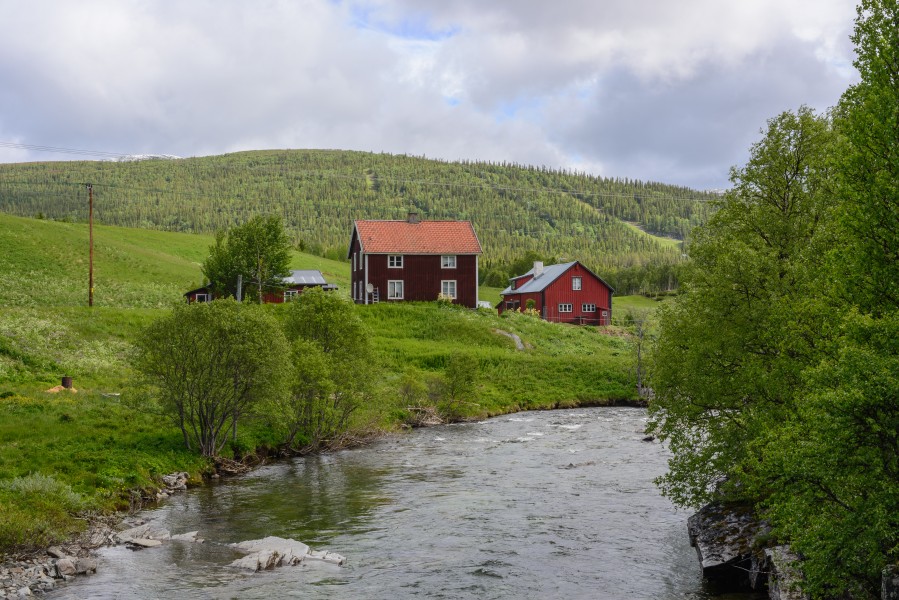 Ljungdalen June 2014 06