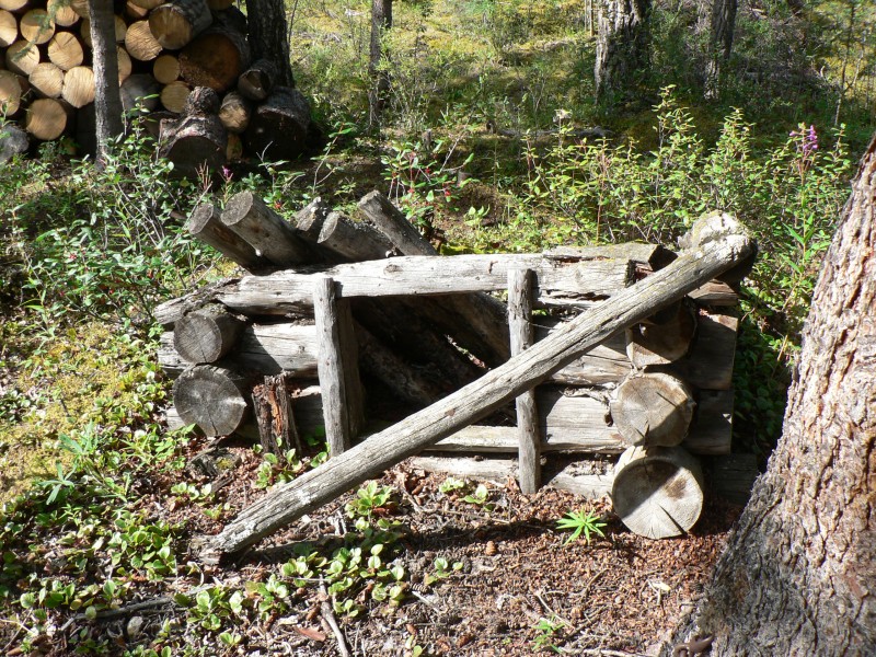 Lower East Fork Dog House