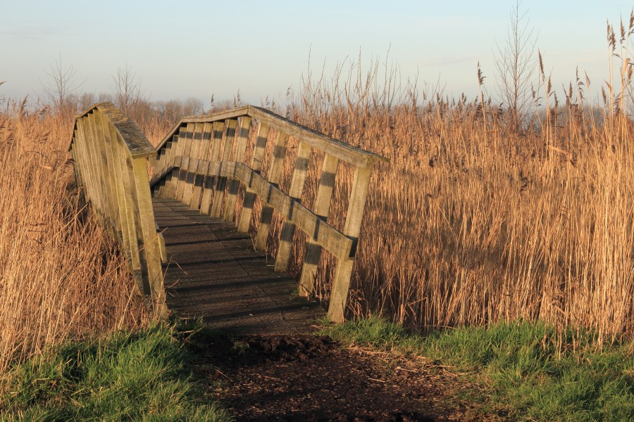 Lytse Mâr in de Alde Feanen. Verbindingsbrug 02