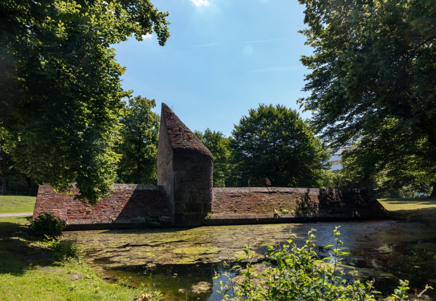 Münster, Alter Zoo, Wasserbär -- 2017 -- 1978