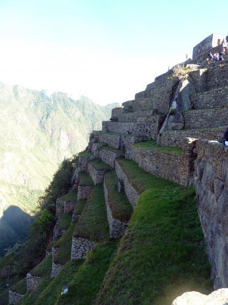 Machu Picchu, Peru-21Sept2013 (8)