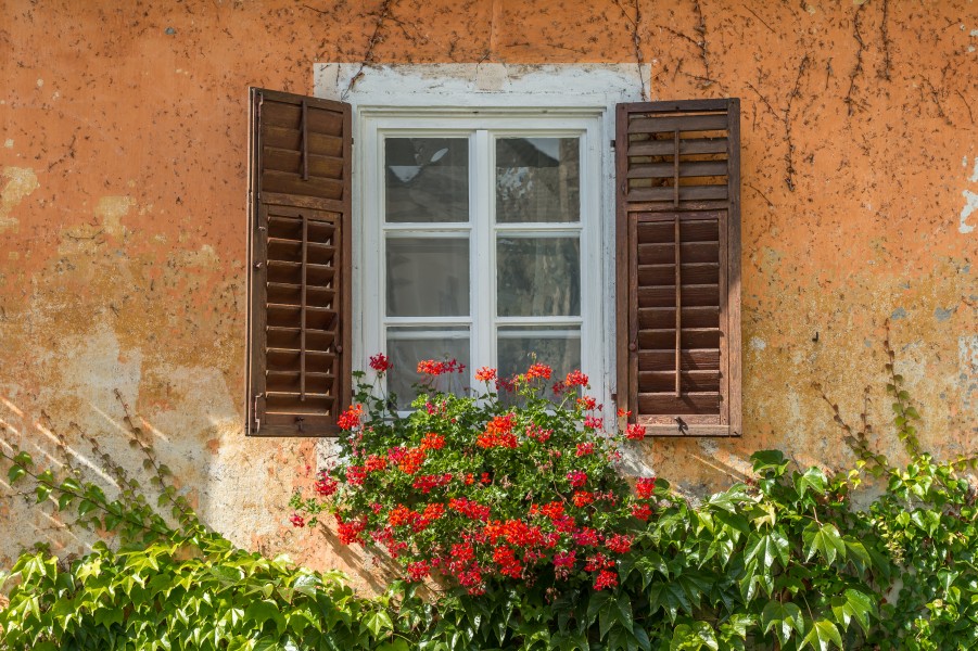 Maria Saal Domgasse 3 Fenster mit Balken und Pelargonien 19092016 4337